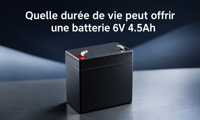 Quelle durée de vie peut offrir une batterie 6V 4.5Ah ?