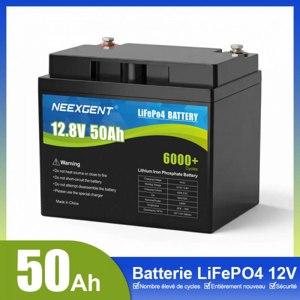 Batterie LiFePO4 12V 50Ah à haute durée de vie cyclique avec BMS intégré