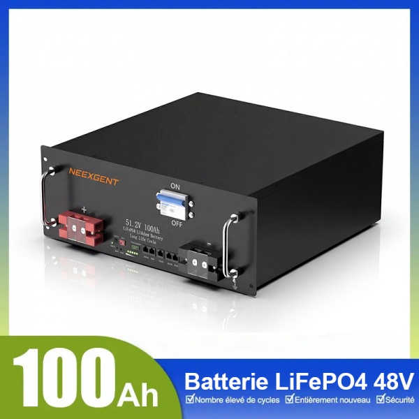 Batterie LiFePO4 48V 100Ah format rack serveur avec protection BMS